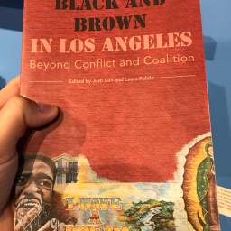 Black and brown in Los Angeles